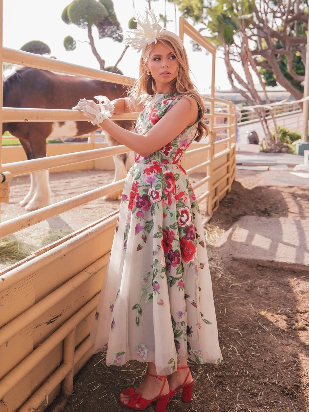 NWT JessaKae Georgina dress